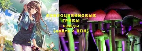 круглые Арсеньев