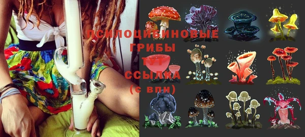 круглые Арсеньев