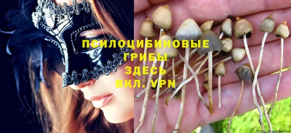 соль курить ск Аркадак