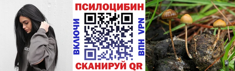 Галлюциногенные грибы Magic Shrooms Купить Новоаннинский